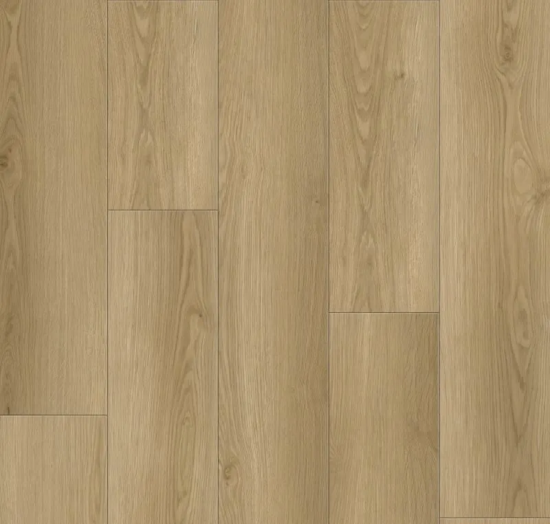 Main