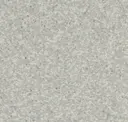 Silver Gray