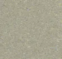 Shore Sand