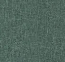 Icelandic Moss