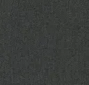 Long Shadow