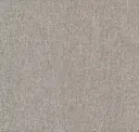 Petrichor