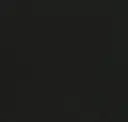 Black Hole Sun