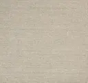 Paperboy