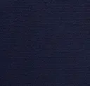 Bold Blue