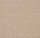 Sandman