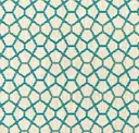 Blue Coral