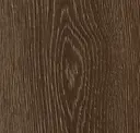 Forest Edge