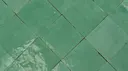 Tunisian Green