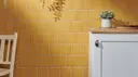 Goldenrod