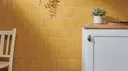 Goldenrod