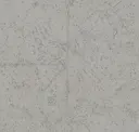Oyster Grey