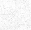 Polished White