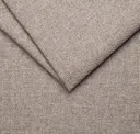 4 Fossil