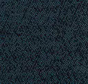 Blackish Teal