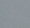 Greyish Mint
