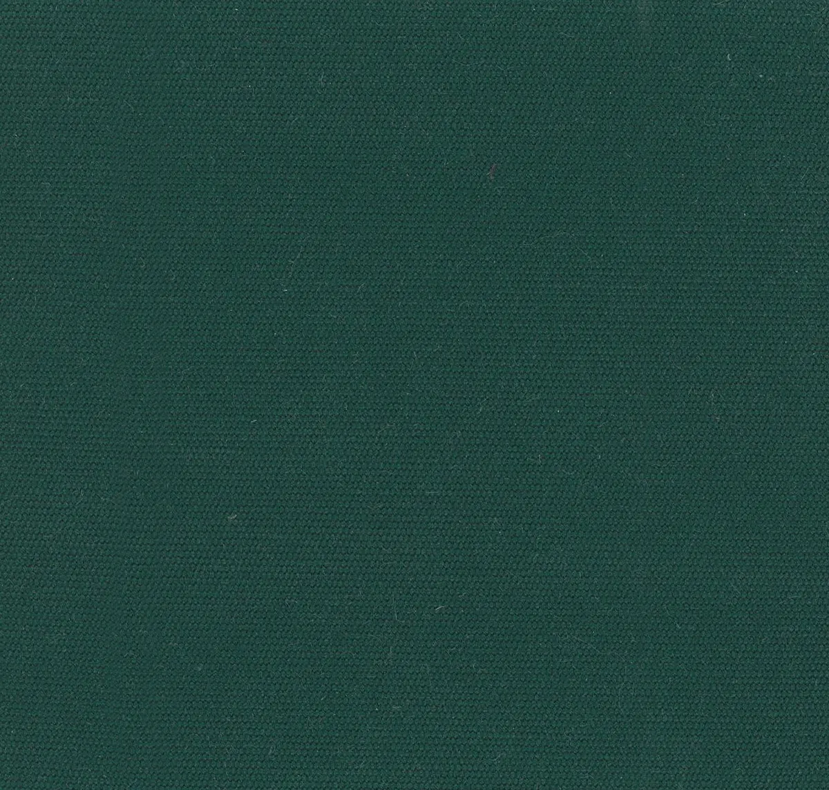 Main
