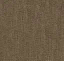 Dry Bush
