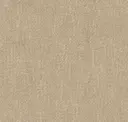 Antler