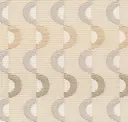Sand Ripple