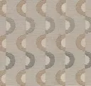 Shell Game