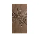 Cecilia Gold Limestone - No Leafing