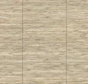 Beige 31