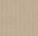 Beige 51