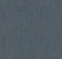 Blue 55