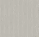 White 56