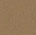 231