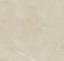 Bone