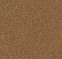231