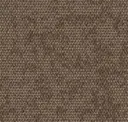 750