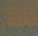 455