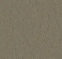 545