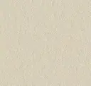 800