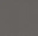Iron