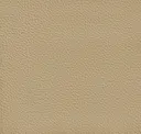 Silk Beige