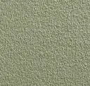 Pistachio