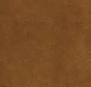 Hazelnut