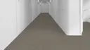 725