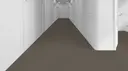 725