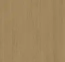 Mocha 245