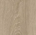 Butterscotch Oak