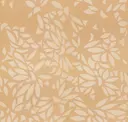 Desert