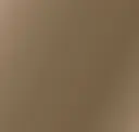 Bronze Untoughened