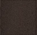 Bronze Gloss