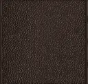 Bronze Gloss