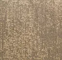 Hashi Bronze